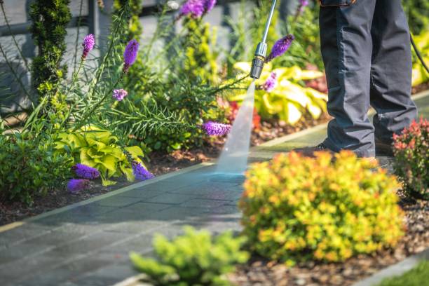  Floral Park, NY Pressure Washing Pros