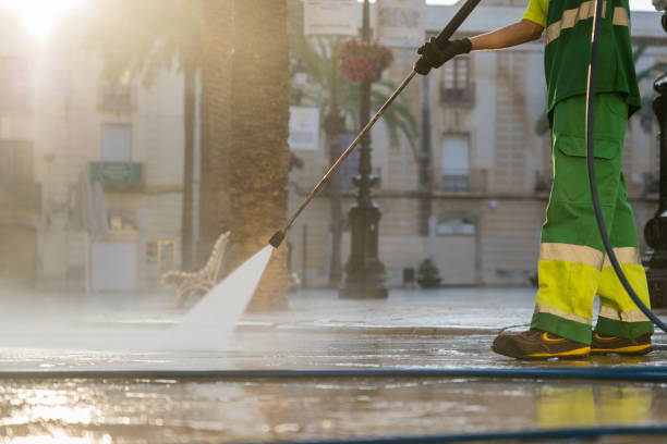 Best Dumpster Area Cleaning  in Floral Park, NY